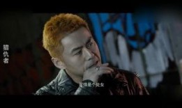 猎仇者在线观看,在线揭秘复仇之路